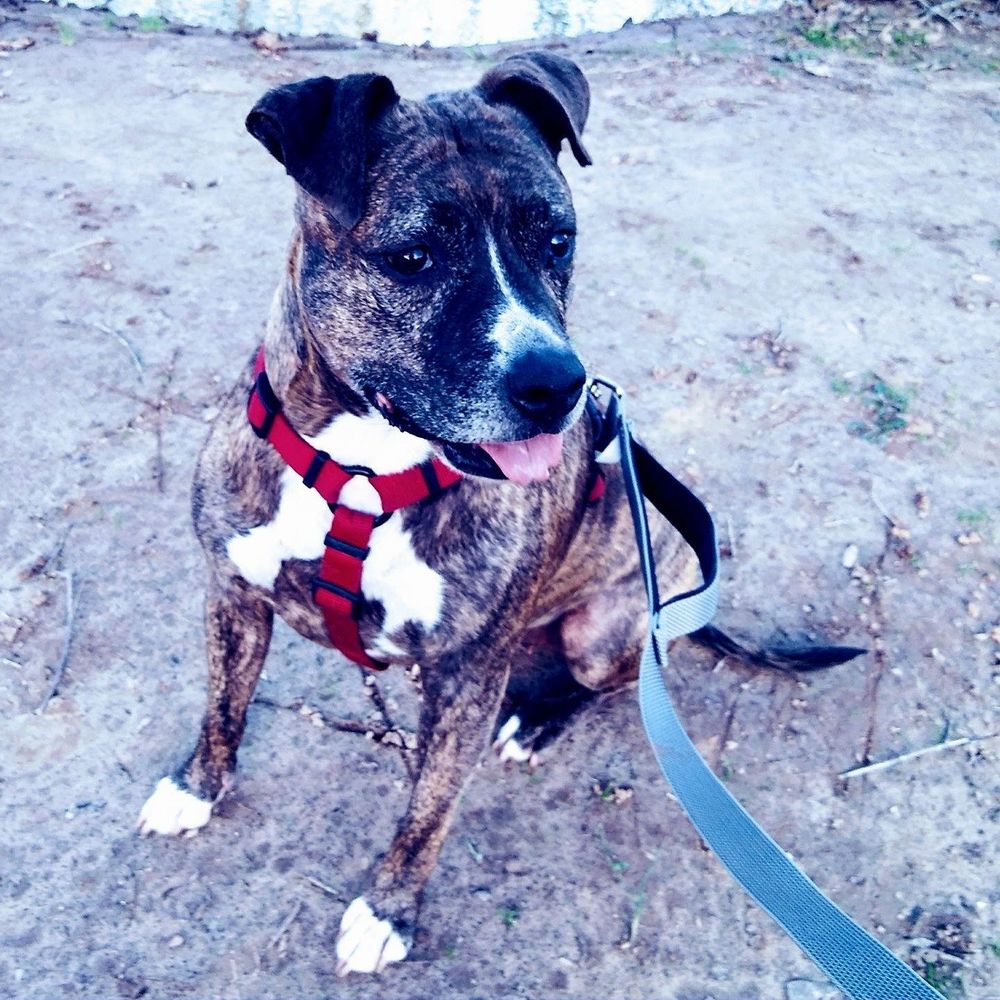 Have lots of clothes and accessories